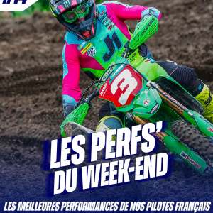 LES PERF'S DU WEEK-END #14 LES PERF'S DU WEEK-END #14