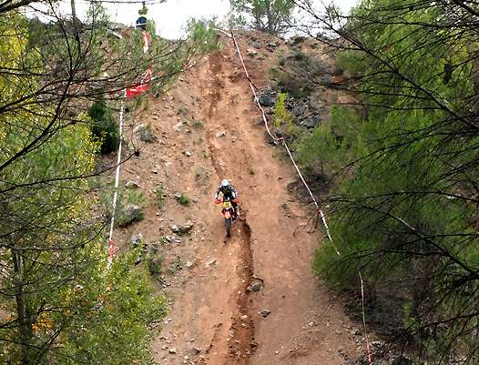 <b>(photo Luc Guillaume)</b>