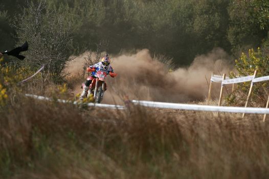 <b>Antoine Méo - KTM-Equipe Trophée (photo Bénédicte Simon/FFM)</b>