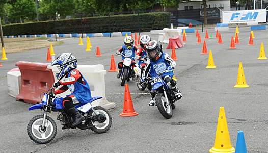 <b>(photo Stan Perec/PSP)</b>