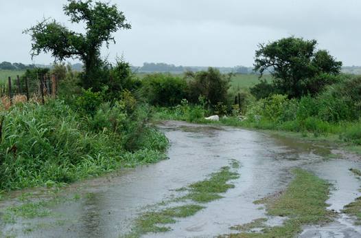 <b>(photo Florent Gooden/DPPI)</b>