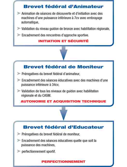 3 niveaux de qualification-brevet