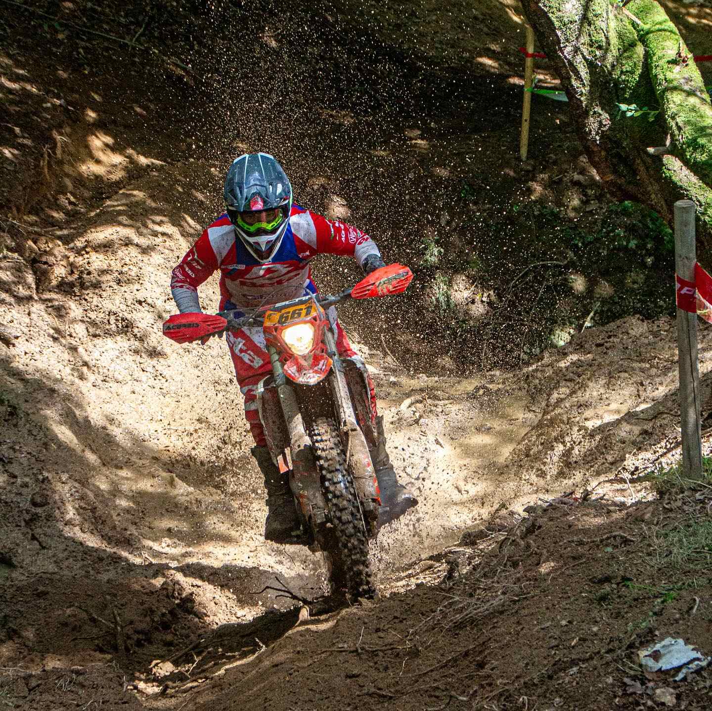 ALEX PICHAUD - BETA - (PHOTO FB DE ALEX PICHAUD)